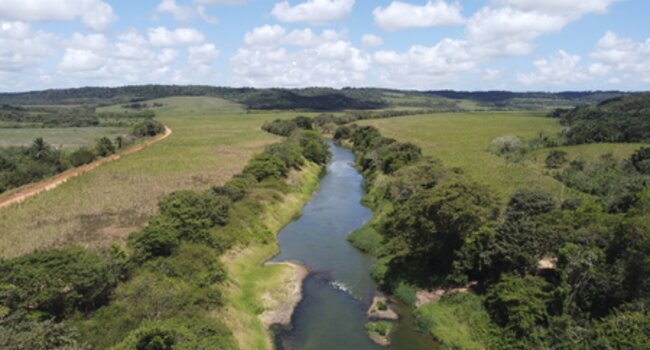The importance of greater diversification of financing for the resilience of Brazil's agriculture