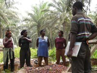Launching the second Africa Sustainable Palm Oil Conference