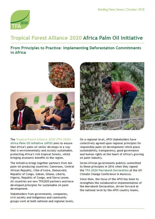 Africa Palm Oil Initiative briefing 7: From Principles to Practice: Implementing Deforestation Commitments in Africa