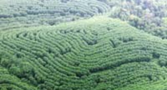 What are ‘landscape or jurisdictional initiatives’?