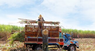 Promoción de la producción sostenible de caña de azúcar en Negros Occidental