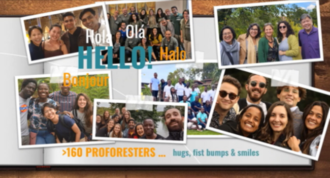 Proforest Review of 2022