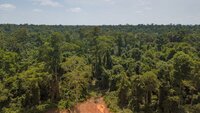 Linking ‘no deforestation’ supply chains and national climate mitigation initiatives 