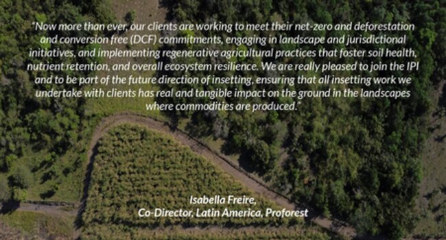 Quote Isabella Freire