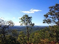 Lançamento do Site do Proforest em Espanhol 