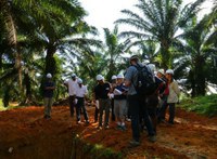New RSPO lead auditors training course in September