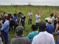 Understanding ‘Deforestation-Free’ in the African context