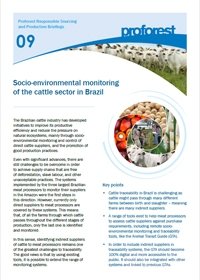 Socio-environmental monitoring of the cattle sector in Brazil